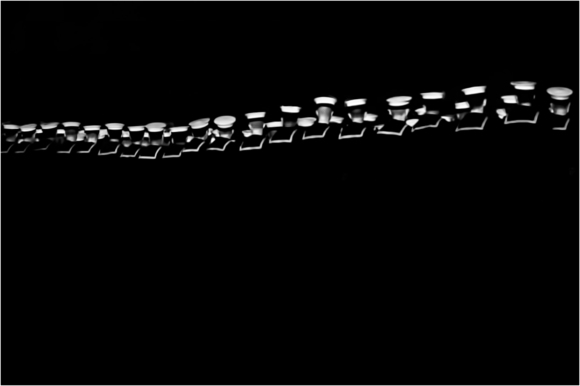 NZ Navy - Backbone