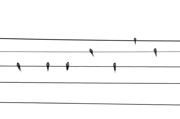 Music staff
