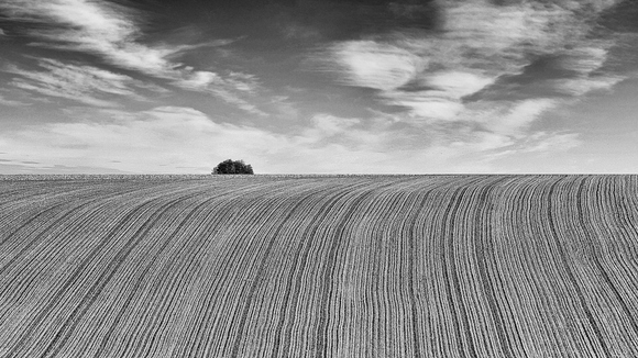 Slavonia fields 