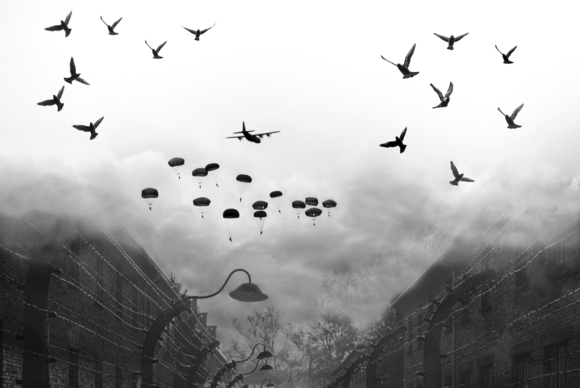 Freedom