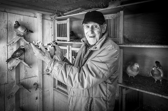 Belgian pigeon fancier