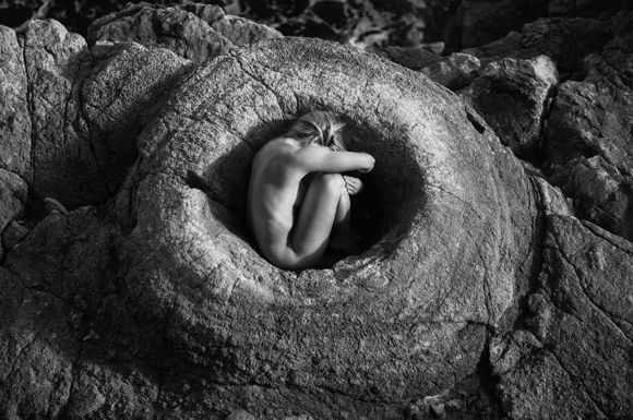 embryo 