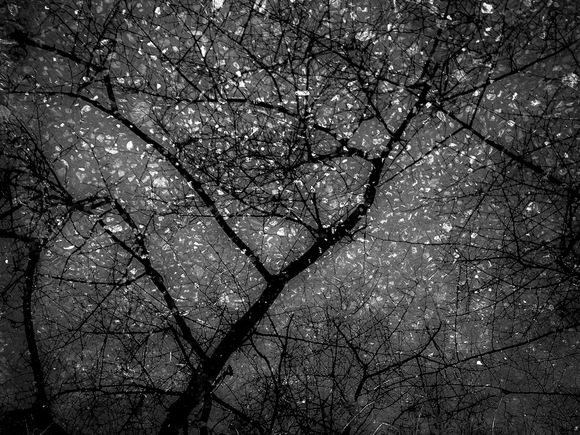 Starry Night