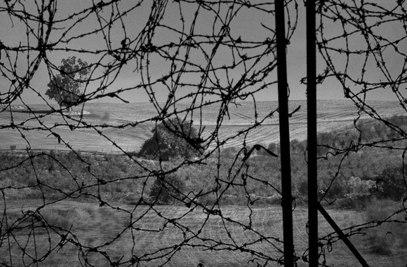 The Fence