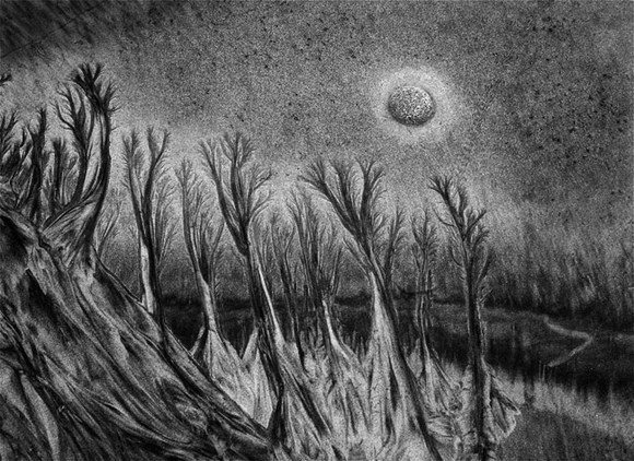 Forest in Moonlight