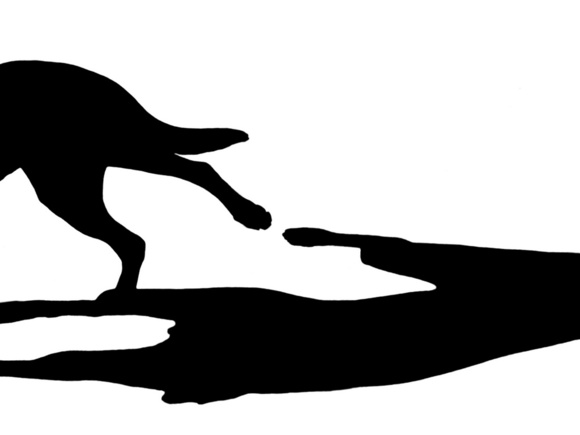 Dog's shadow