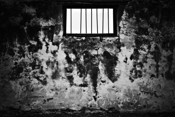 Borgesian Cell