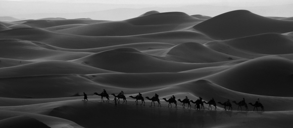 Caravan in the Desert