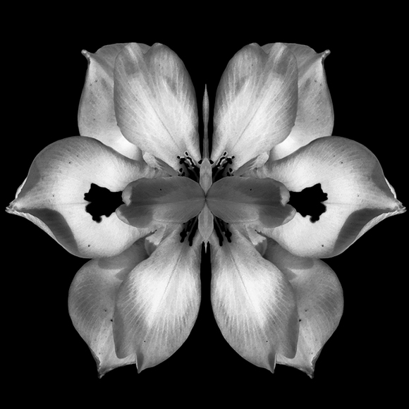 Bug Flower