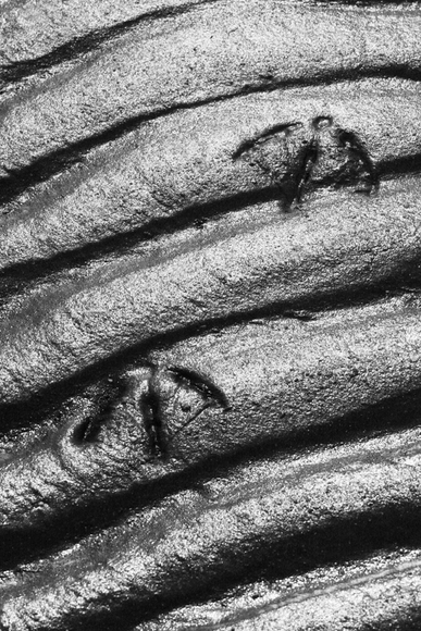 Footprints in the Ripples