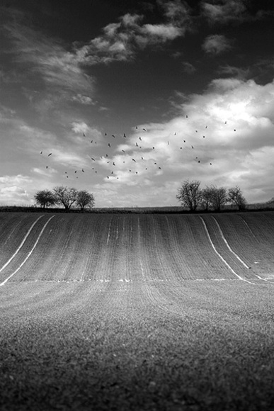 Farmer's Art