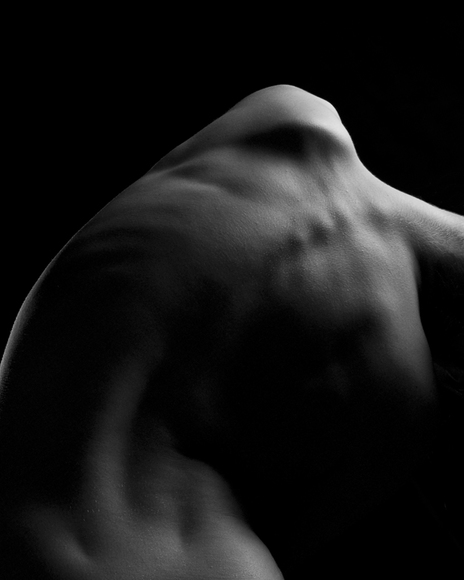 Spine