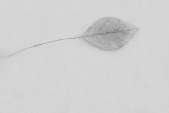 Aspen