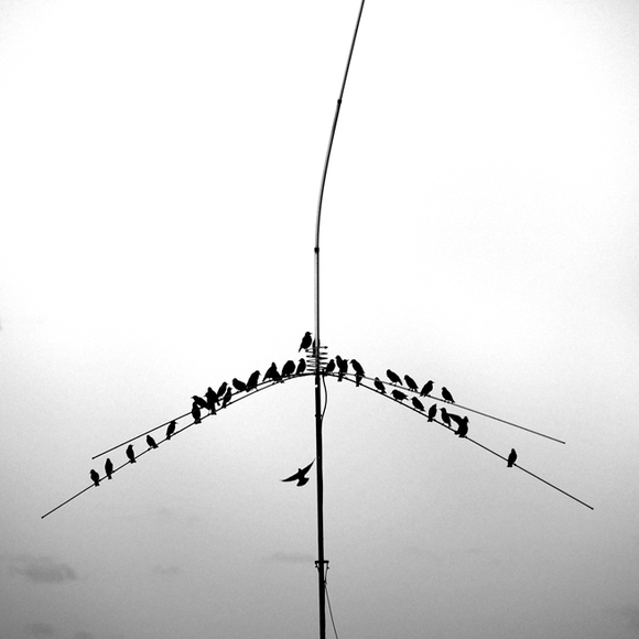 Meeting