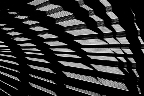 Circle Squared (4)