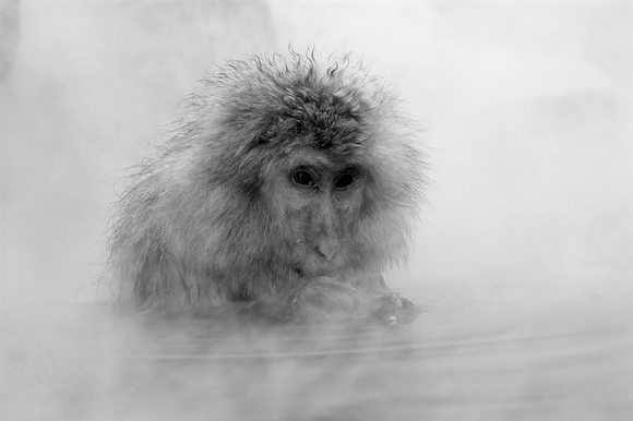 Spa Bath