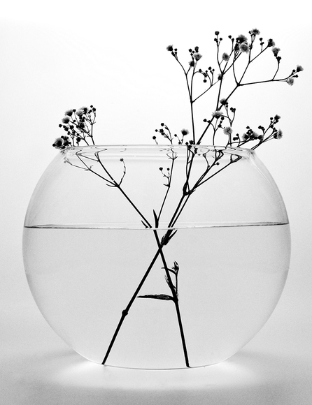 Aquarium