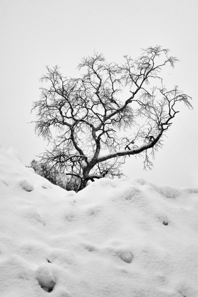 Last snow
