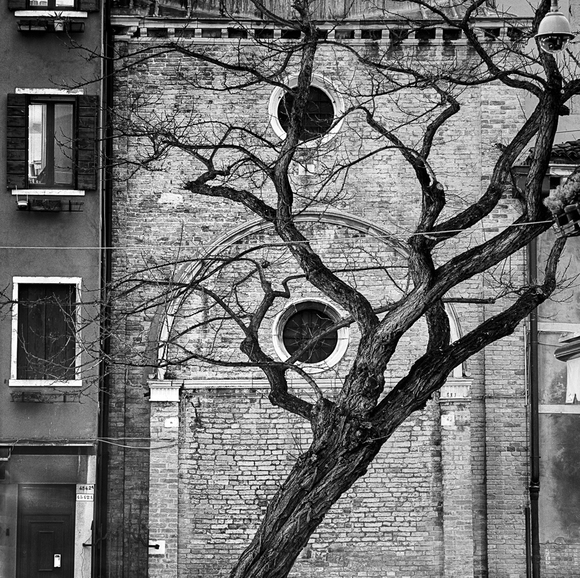 City Tree