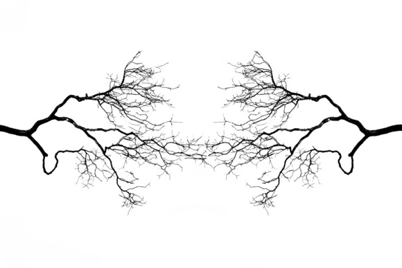 synapsi