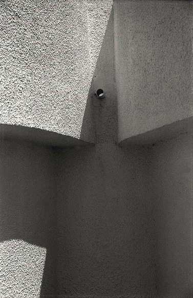 Strange Bird