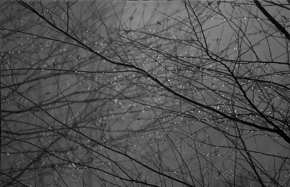 Stardust