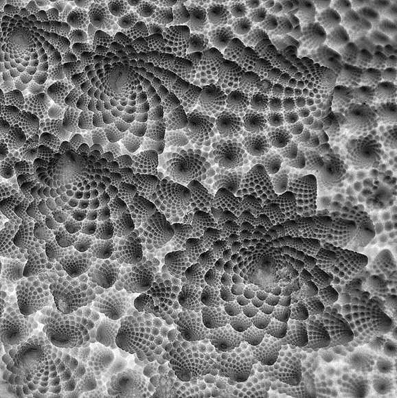 vegescape