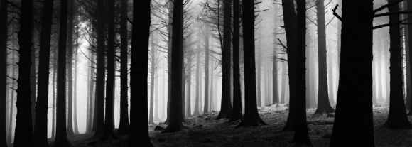 Beacon Fell.