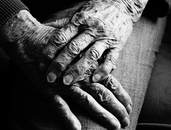 Life Lines