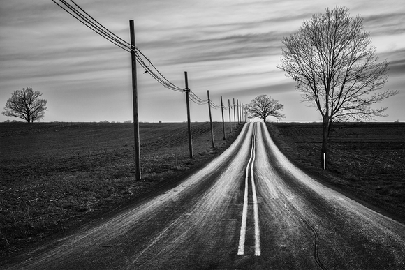 Road And Trees Sunset