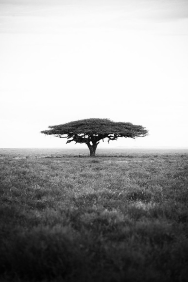 Be