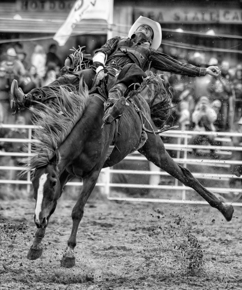 Bareback Rider