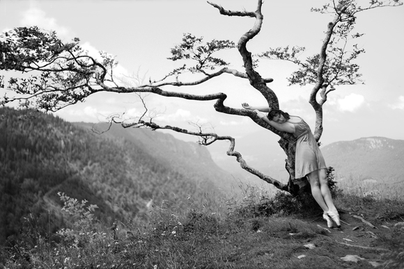 Dancer in the tree