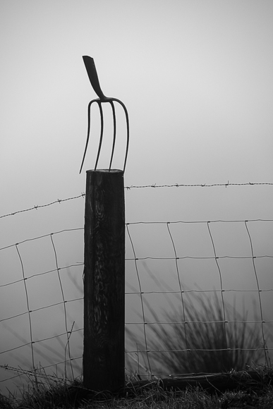 Farm Art