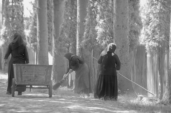 Life at Polovraci II