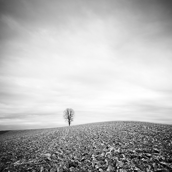 Farmland Study