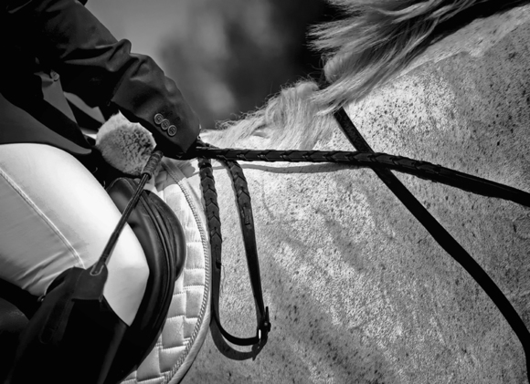 Horse and Rider
