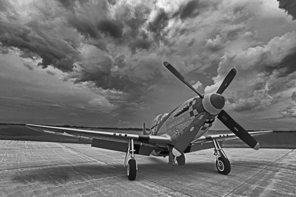 Storm Bird