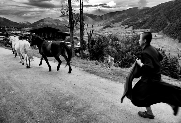 Bhutan horse chase