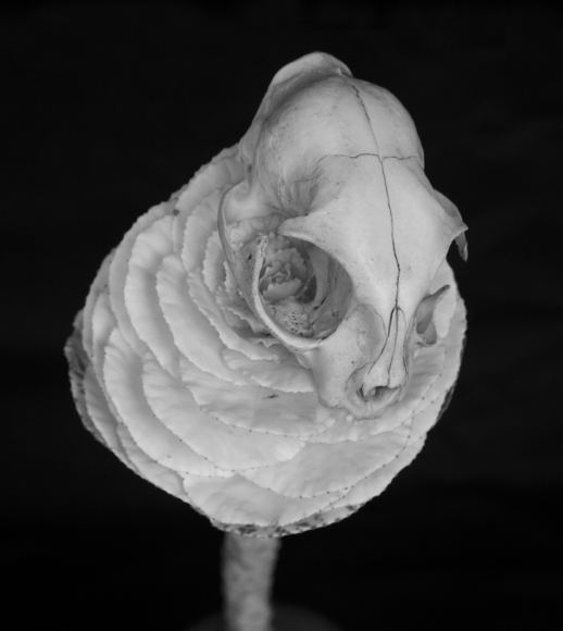 Untitled 09, 2012