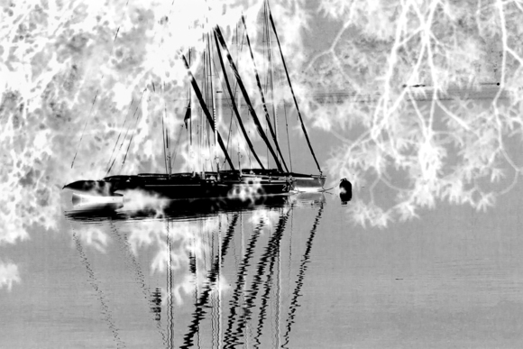 BLACK BOAT