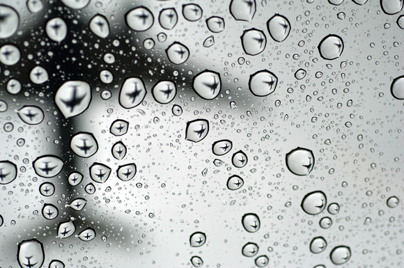 Pearson-Robert_LAX Rain 2.