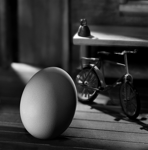 Egg at the cabin