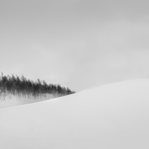 Norwegian Winter