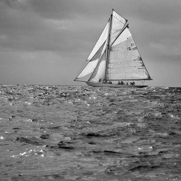 Regatta