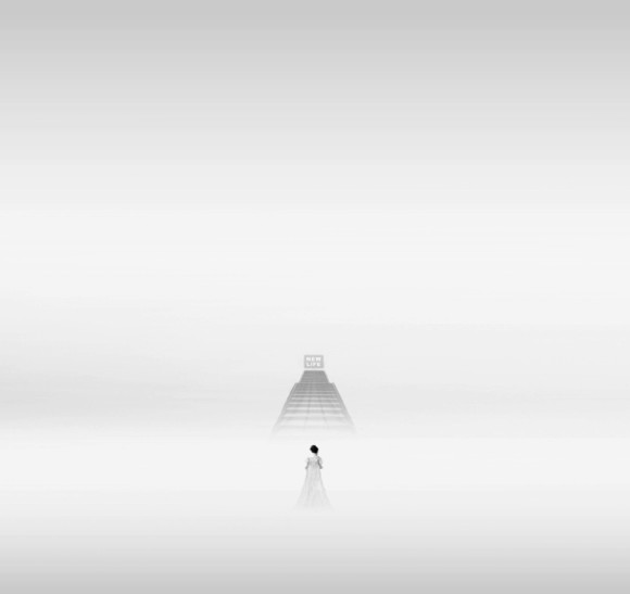 Untitled (5)