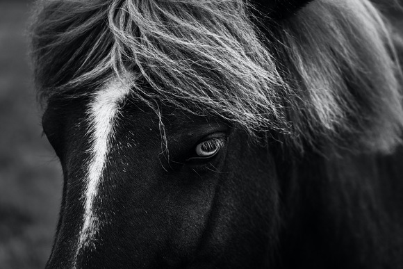 Window to the Soul