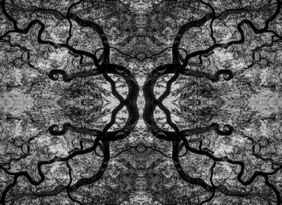 Fine Art 6