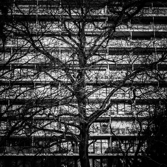 Urban veins