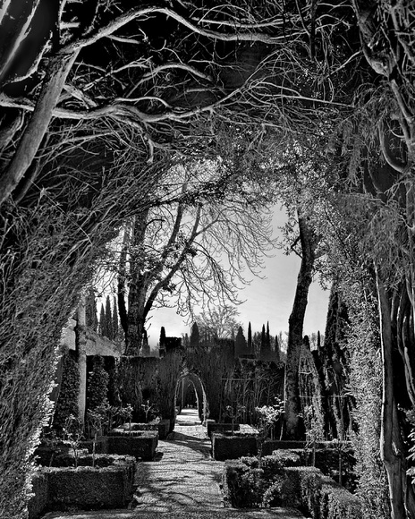 Garden at The Alhambra